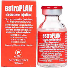 Image result for Estrostep