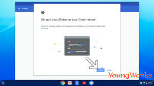 Coding On A Chromebook Using Python And Pygame