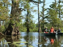 National forest.promoting your link also lets your audience know that you are featured on a rapidly growing travel site.in addition, the more this page is used, the more we will promote to other inspirock. Top Places To Visit Shawnee National Forest Rocky Comfort Cabins