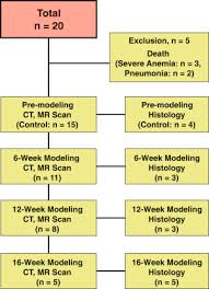 myocardial characterization using dual energy ct in