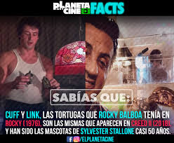 Sly y sus 🐢❤️