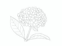 Search for text in url. èŠ±ã®å¡—ã‚Šçµµã‚¤ãƒ©ã‚¹ãƒˆ ç„¡æ–™ã‚¤ãƒ©ã‚¹ãƒˆãªã‚‰ ã‚¤ãƒ©ã‚¹ãƒˆac