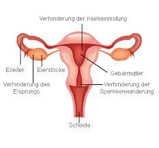 Antibabypille Wirkung Anwendung Nebenwirkungen