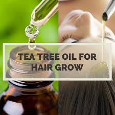 Well organic + australian 100% tea tree oil. Tea Tree Oil For Hair Grow Hair Remedies For Growth Tea Tree Oil For Acne Grow Hair