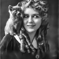 FUNK, ANTIONNETTE. CO-CHAIRMAN N.A.W.S.A