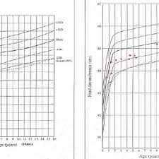 Absolute Height Measurements Of The Studied Female Cases