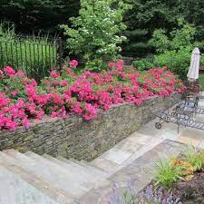 Carpet Roses Design Ideas Pictures Remodel And Decor Landscaping Retaining Walls Garden Retaining Wall Outdoor Gardens