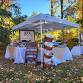 Warner Fall Foliage Festival