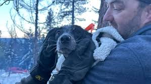 Confused about cooking that Thanksgiving turkey? You've got help now!