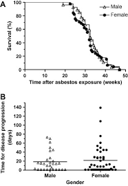 We did not find results for: Mextag Mice Exposed To Asbestos Develop Cancer That Faithfully Replicates Key Features Of The Pathogenesis Of Human Mesothelioma Sciencedirect