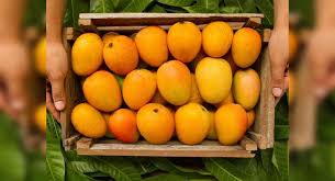 They also help improve your heart health, reduce acne, and slow ripe mangoes have a sweet, floral taste. Side Effects Of Mango You Should Know Misskyra Com