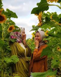 Dusun cempluk, desa mangunan, kecamatan dlingo, kabupaten bantul, yogyakarta map: 7 Kebun Bunga Paling Cantik Di Yogyakarta Bisa Jadi Destinasi Serumu