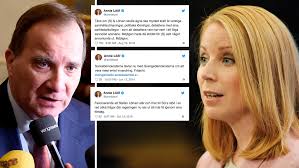 Annie lööf i store norske. Annie Loofs Nio Anklagelser Mot Stefan Lofven