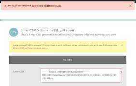What To Do If Your Csr Is Not Accepted Csr Invalid Errors During Certif