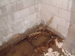 How to waterproof your basement. Warning Signs Of Basement Moisture And Leaking Problems In Hamilton Oakville Burlington On Basement Water Issues Warning Signs
