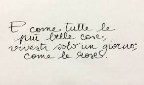 Frasi come gli do fuoco e lo brucio vivo non sono affatto piaciute e il pubblico del reality show si è fatto sentire sui social protestando e schieratasi contro certi comportamenti e un certo tipo di linguaggio. Le 17 E 4 Minuti