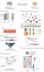 While we love the idea of bringing fun and joy into everyone's home, this cancer council needs our support more than ever this year. A Network Analysis To Identify Mediators Of Germline Driven Differences In Breast Cancer Prognosis Nature Communications