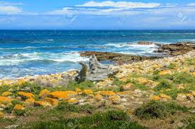 Adresse, numéro de téléphone, fax, code postal. Plage Avec Des Rochers Et Des Varech Au Cap De Bonne Esperance Le Cap De Bonne Esperance Est Considere Comme La Toile De Fond D Une Plage De Galets Recouverte De Varech Cote Atlantique De