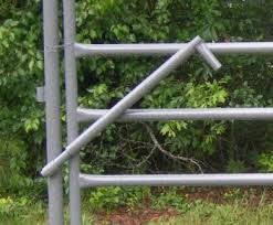 Pin On Cattle