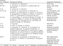 Image result for Gossypioides