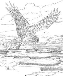 Pin On Coloring Pages