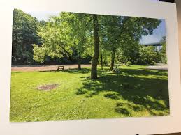 Submit a tip 440.331.5530 emergency: Were You At Rocky River Reservation On June 4 Between 4 30 And 5 30 P M Scene And Heard Scene S News Blog