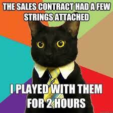 Cat With Tie Business Cat Meme Business Cat Cat Memes