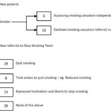 Flow Chart For Outcome Of Smoking Cessation Intervention