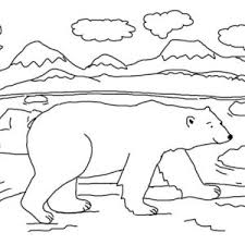 Today i am sharing with you a few animal coloring pages that go along with a new theme i am working on. Arctic Animals Polar Bear Walking Around Coloring Page Kids Play Color