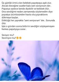 Natalie Adli Kullanicinin Bilgi Panosundaki Pin Papatyalar Guzel Soz Gercekler