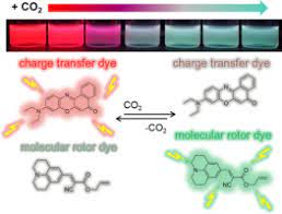 Browse the images below sorted by our most popular products carbon dioxide (co2) handheld gas detector. Colorimetric Fluorescence Response To Carbon Dioxide Using Charge Transfer Dye And Molecular Rotor Dye In Smart Solvent System Sciencedirect