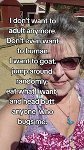 Goats Jumping Everywhere around The House