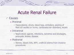 In this case, toxins begin to build up in the body and a series of symptoms will occur.hign creatinine can causes renal failure.without. Medical Surgical Nursing Care Ppt Download