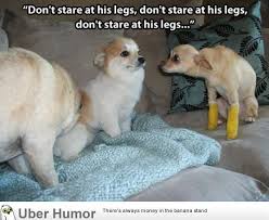 No matter how bad of a day I&#39;m having, this always makes me laugh ... via Relatably.com