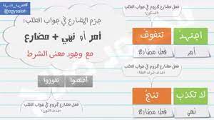 تم الإجابة عليه ممكن حل السؤال governor bullet journal journal