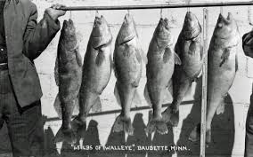 You can see how to get to walleye inn motel on our website. Baudette Minnesota Gallery