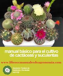 En esta obra, ilustrada con maravillosas fotografías de john pole, los autores analizan la fascinación que han ejercido los ángeles desde siempre: Manual Basico De Cactaceas Y Suculentas Pdf Gratis Libros De Agronomia Gratis