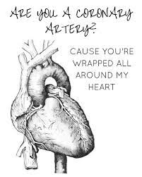 Interventional cardiologists generally practice in cardiology team practices and in health care establishments during which these sorts of. Mary Ella Wood On Instagram Happy Day To My Medical Peeps Medical Jokes Medical Quotes Medical Humor