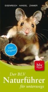 Bild von katze, muster, schuh. Der Neue Blv Naturfuhrer Fur Unterwegs Walder Wiesen Felder Feuchtgebiete Alpen Sonderteile Fruchte Der Baume Und Straucher Raupen Tierspuren 9783835406452 Amazon Com Books