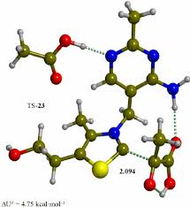 Oxidative Decarboxylation Of Pyruvic Acid - Youtube