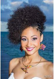 Natural Hair Look Book Photo Natural Hair Styles Natural Afro Hairstyles Natural Hair Inspiration