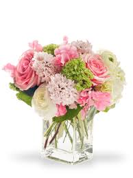 We did not find results for: Composizione Floreale Delicata In Vaso Cubico Di Vetro Con Rose Rosa E Ranuncoli Bianchi