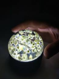 As it had a very low moisture content, i was able to cure resin directly onto the wood. Epoxy And Flowers Lamp Hometalk