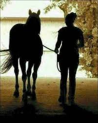 We did not find results for: Optical Illusion Brain Teaser