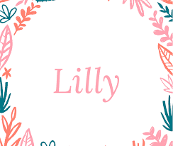 Pin By Emily Samanta Revollo Balleste On Girls In 2020 Names With Meaning Cool Baby Girl Names Lillies