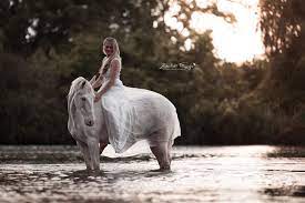 Maybe you would like to learn more about one of these? Braut Auf Ihrem Pferd Pferde Fotografie Pferdefotografie Hochzeitsfoto Pferd