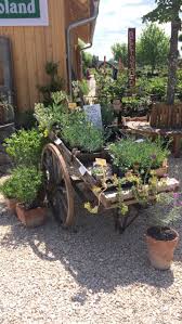 Stauden, winterharte pflanzen, sind aus unseren gärten nicht wegzudenken. Zu Besuch In Der Staudengartnerei Gaissmayer In Illertissen Bauerngarten Garten Gartnerei