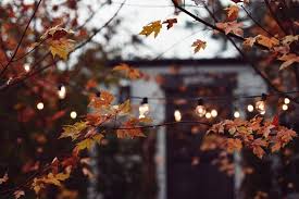 Autumn Vibes Pinterest Xchxara Autumn Fall Autumn Aesthetic Autumn Poems Autumn Cozy