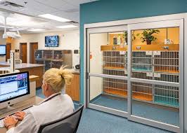 Feline Ward Hospital Design Hospital Design Veterinary Hospital Pet Clinic