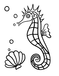 Free Seahorse Coloring Page Hippocampe Bateau